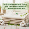 The Truth About Organic Cotton: Why Your Wardrobe (and the Planet) Will Thank You
