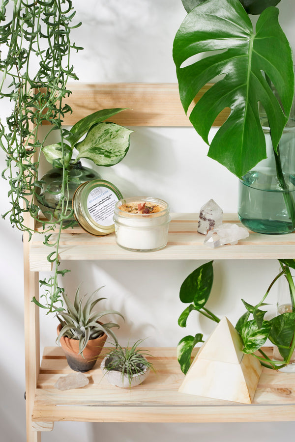 Abundance intention candle styled in a quiet meditation space, eco-friendly home fragrance