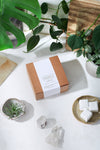 Organic Toilet Tabs | Antibacterial Cleaner | GenTree Home