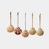 Five seashell decorations with rope on a white background