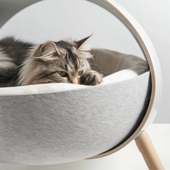 Collection image for: Pets