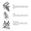 The aroma defined