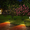 solar-powered lights illuminating a pathway