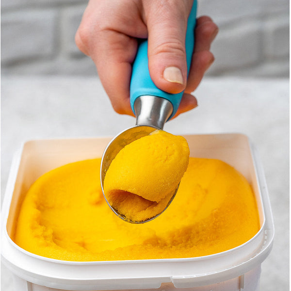Pro Stainless Steel Ice Cream Scoop | Heavy-Duty | GenTree Home