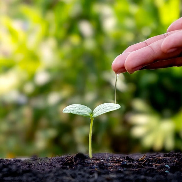 Banner image for: <h4>Sourcing Excellence</h4>