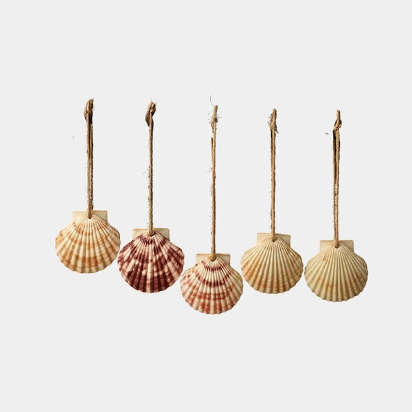 Five seashell decorations with rope on a white background
