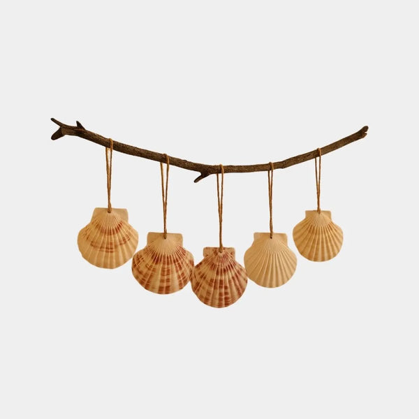 Decorative branch with hanging seashells. Close-up of hand-selected natural scallop shells showing unique ridge depths and pearlescent textures