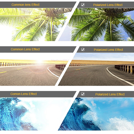 Zebrawood Sunglasses | Handcrafted Polarized Wood Shades | GenTree Home